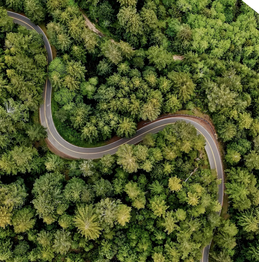 logo with winding road through trees